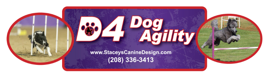 D4 Dog agility classes