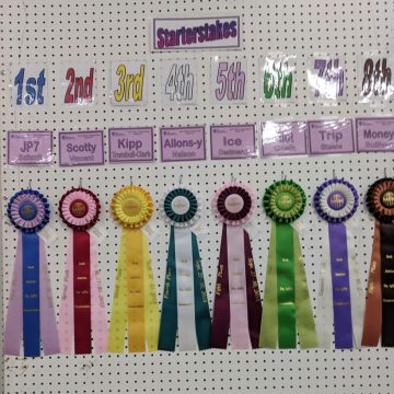 canine agility awards