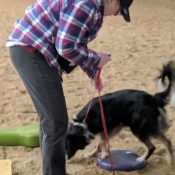 Dog Training Classes in Boise