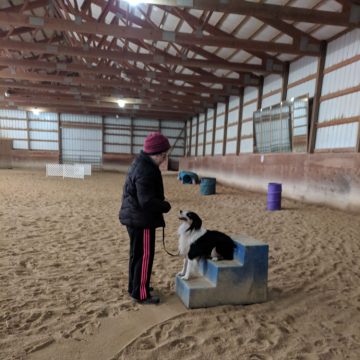 Dog Training Classes in Boise