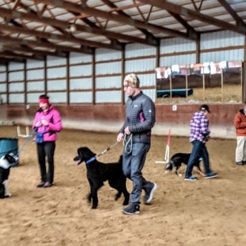 Dog Training Classes in Boise
