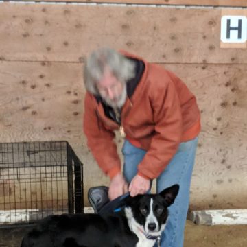 Dog Training Classes in Boise