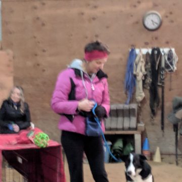 Dog Training Classes in Boise