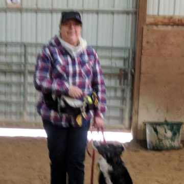 Dog Training Classes in Boise