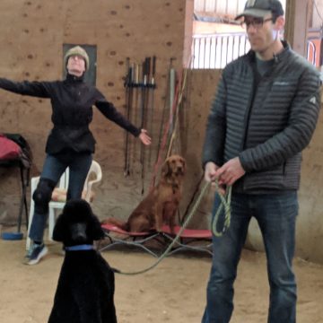 Dog Training Classes in Boise