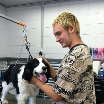 A male groomer grooming a dog