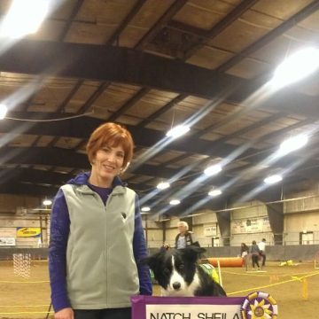 canine training classes idaho