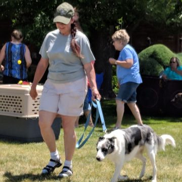 Dog Agility