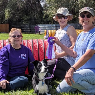 Dog Agility