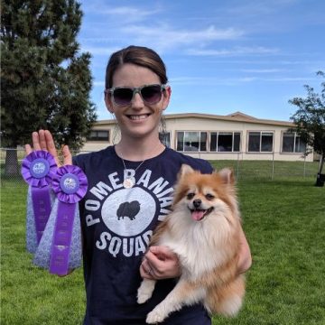 Dog Agility