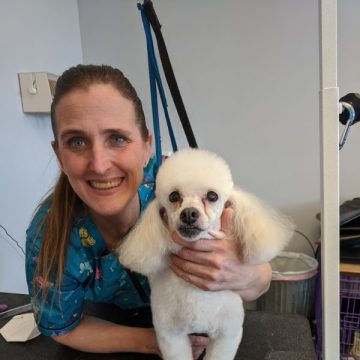 groomer with dog