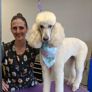 groomer with dog