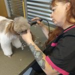 Apprentice shaving dog