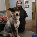 Apprentice and dog posing for camera