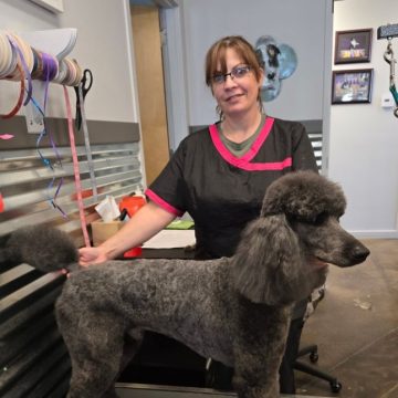 Apprentice and poodle